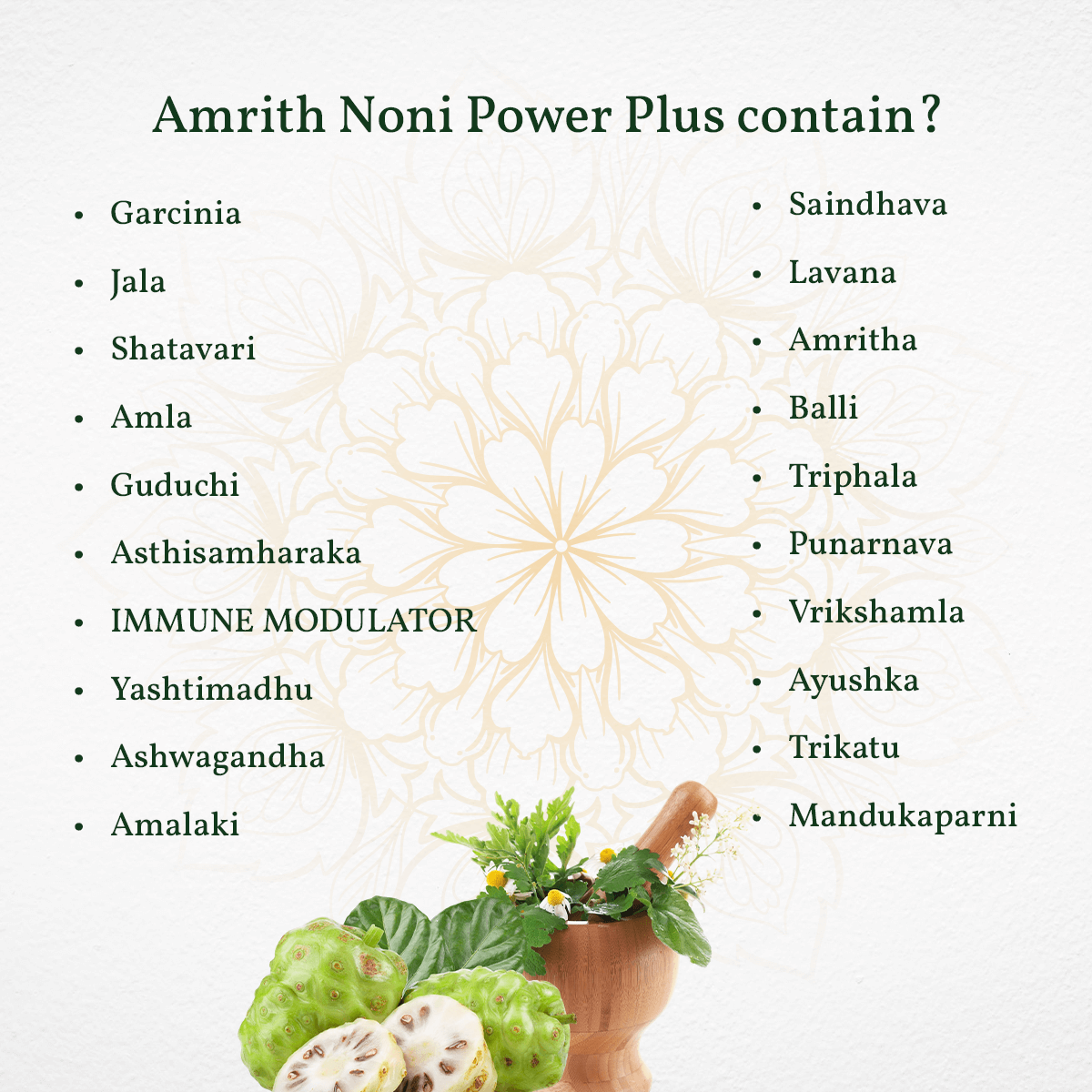 
                  
                    Amrith Noni Power Plus ingredients list displayed on a decorative background
                  
                