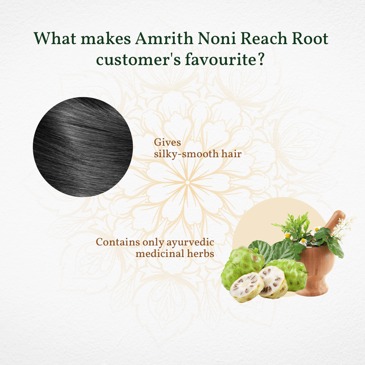 Amrith Noni Reach Root Premium Hair Oil - hover