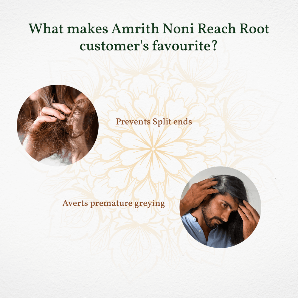 
                  
                    Promotional graphic of Amrith Noni Pain Oil bottle with natural medicinal herbs displayed on a white background, highlighting Ayurvedic pain relief benefits
                  
                