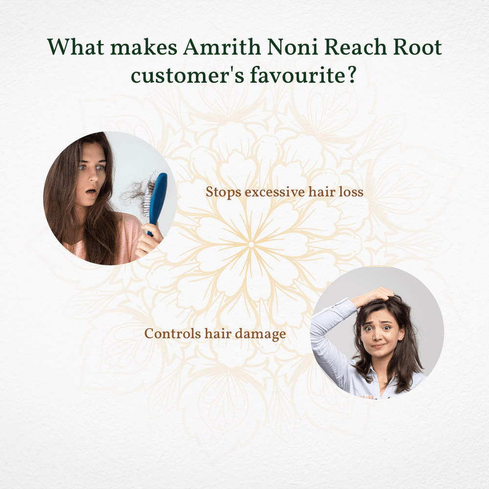 
                  
                    Promotional graphic for Amrith Noni Reach Root, featuring images of a woman experiencing hair loss and another with hair damage, accompanied by text emphasizing the product's key benefits: stopping excessive hair loss and controlling hair damage.
                  
                
