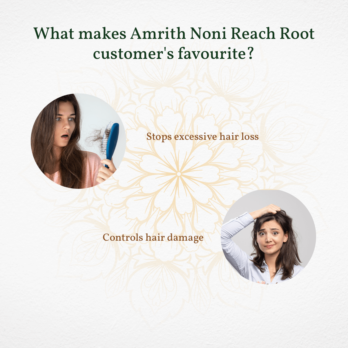 
                  
                    Promotional graphic for Amrith Noni Reach Root, featuring images of a woman experiencing hair loss and another with hair damage, accompanied by text emphasizing the product's key benefits: stopping excessive hair loss and controlling hair damage.
                  
                